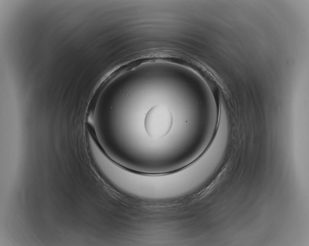 X0000116451081200912081613