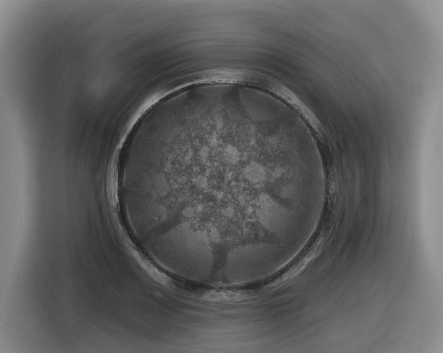 X0000116451083200912081613