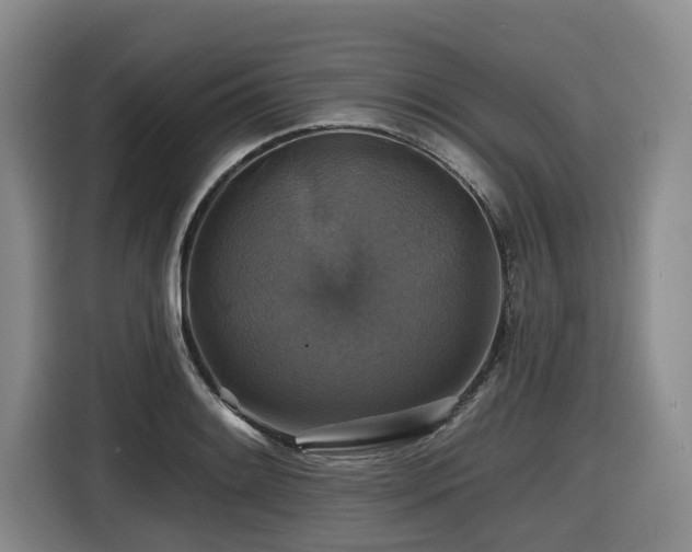 X0000116451084200912081613