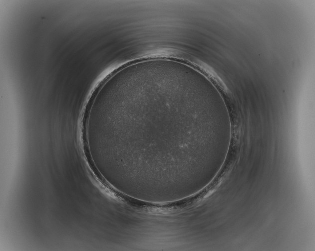 X0000116451086200912081613