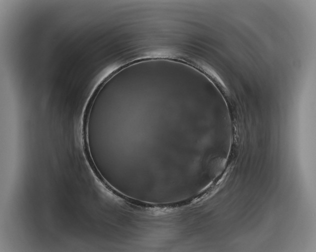 X0000116451087200912081613