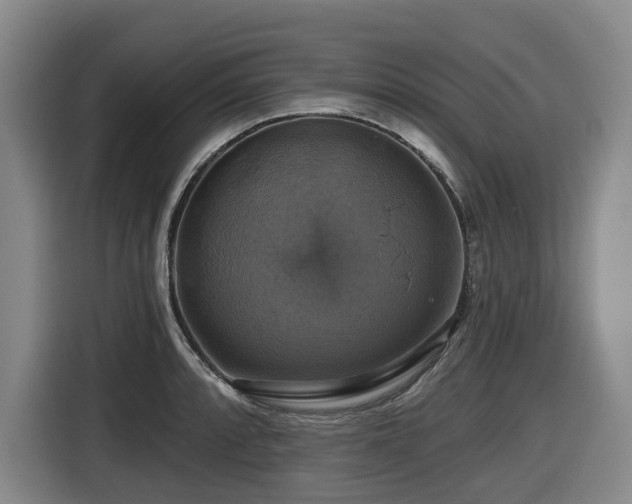 X0000116451088200912081613