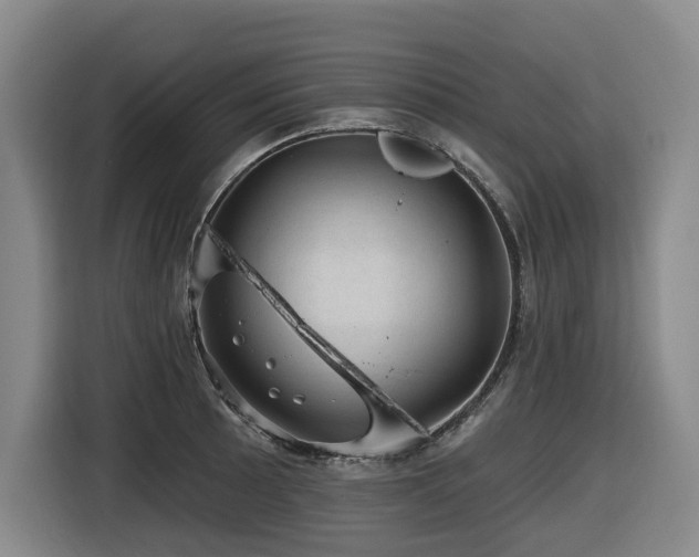 X0000116451089200912081613