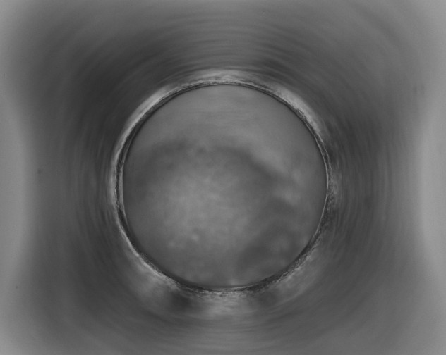 X0000116451090200912081613