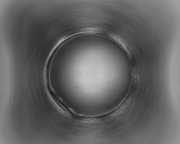X0000116451091200912081613