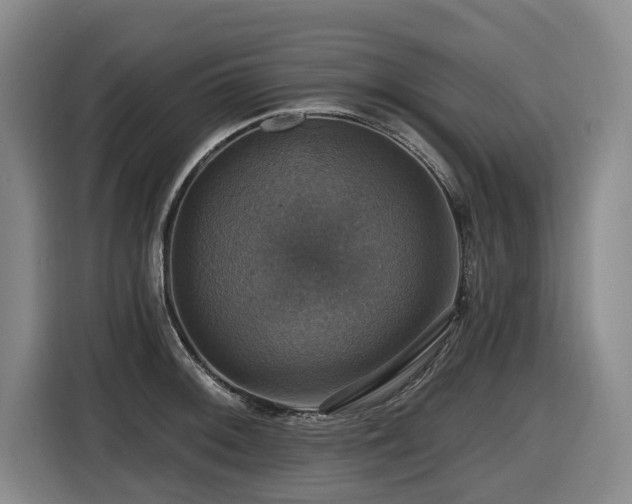 X0000116451092200912081613