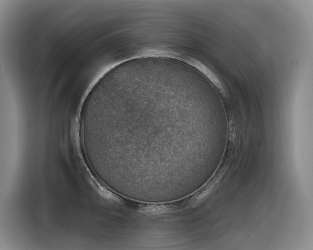 X0000116451094200912081613