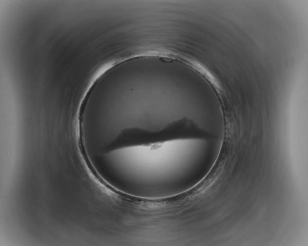 X0000116451095200912081613