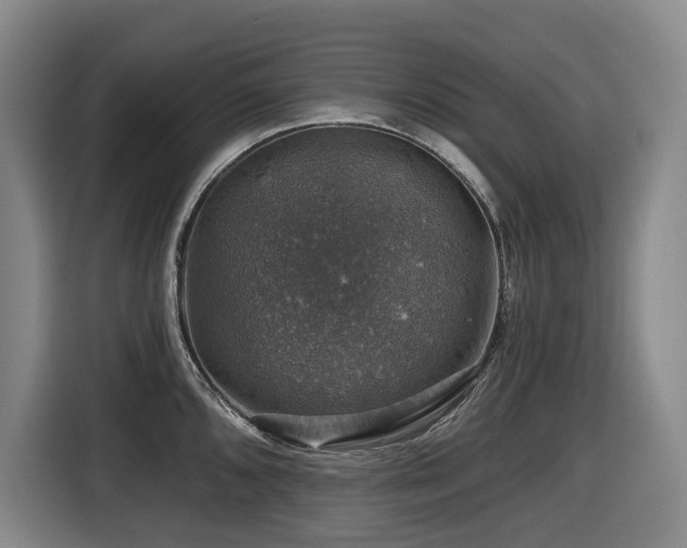 X0000116451096200912081613