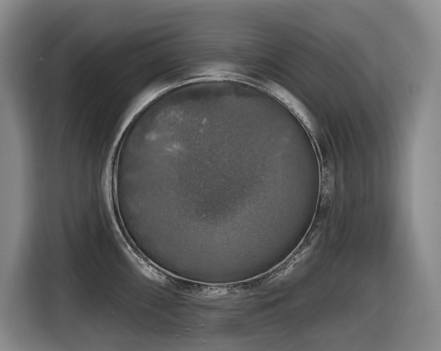 X0000116451098200912081613