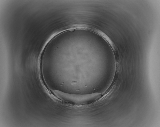X0000116451099200912081613