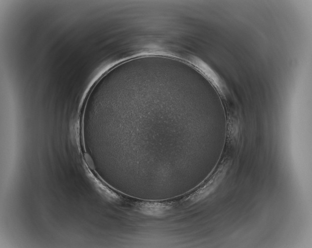 X0000116451100200912081613