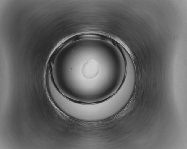 X0000116451101200912081613