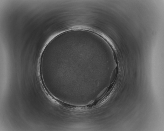 X0000116451102200912081613