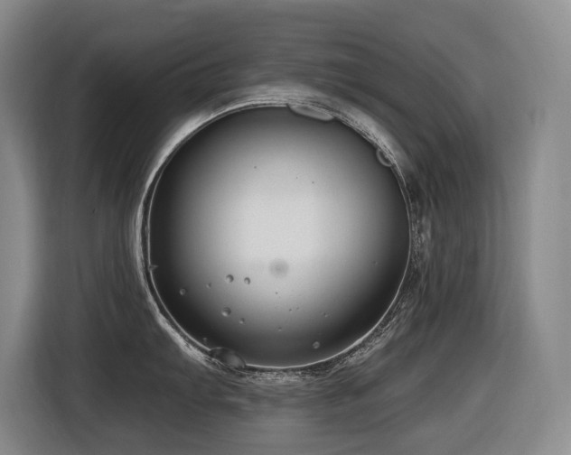 X0000116451103200912081613