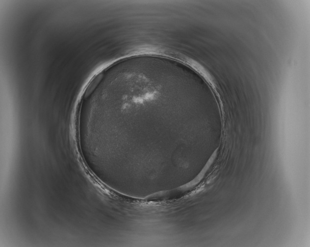 X0000116451104200912081613