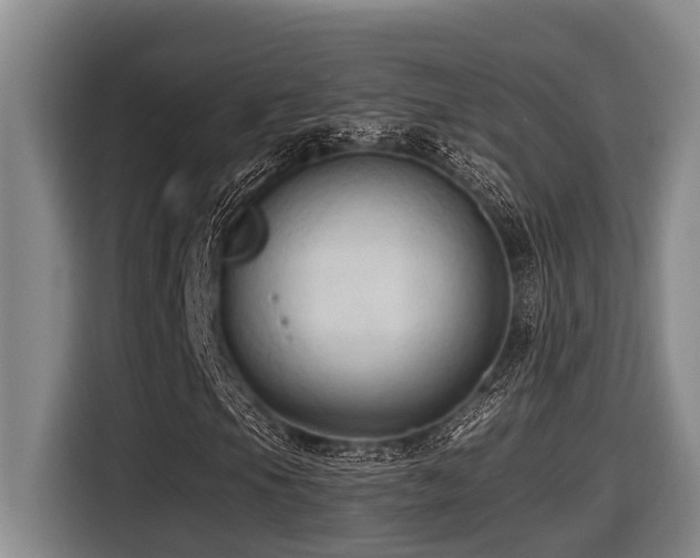 X0000116451105200912081612