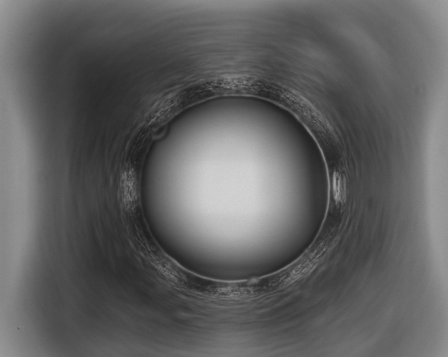 X0000116451107200912081612
