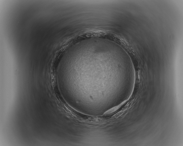 X0000116451109200912081612