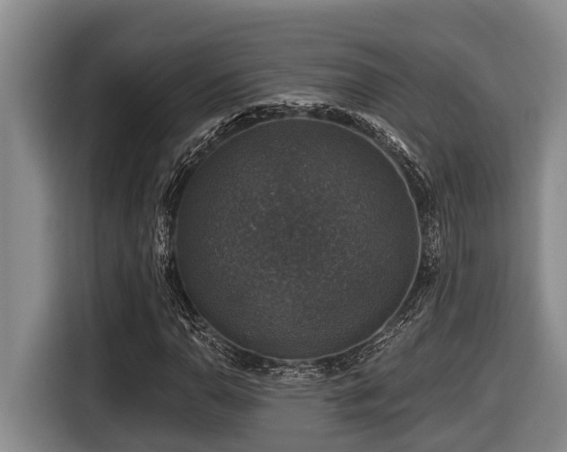 X0000116451110200912081612