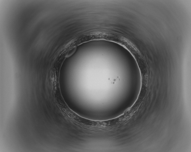 X0000116451111200912081612