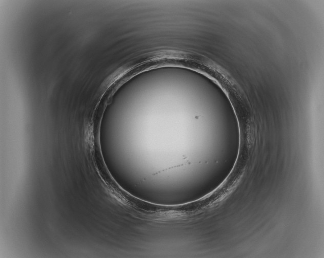 X0000116451113200912081612
