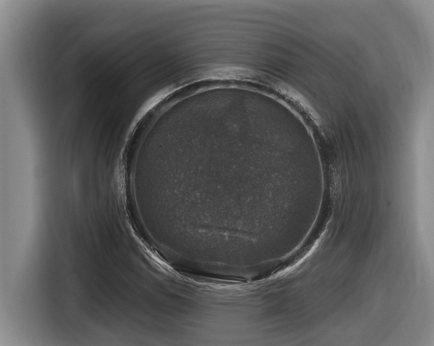 X0000116451114200912081612