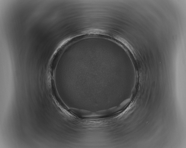 X0000116451115200912081612