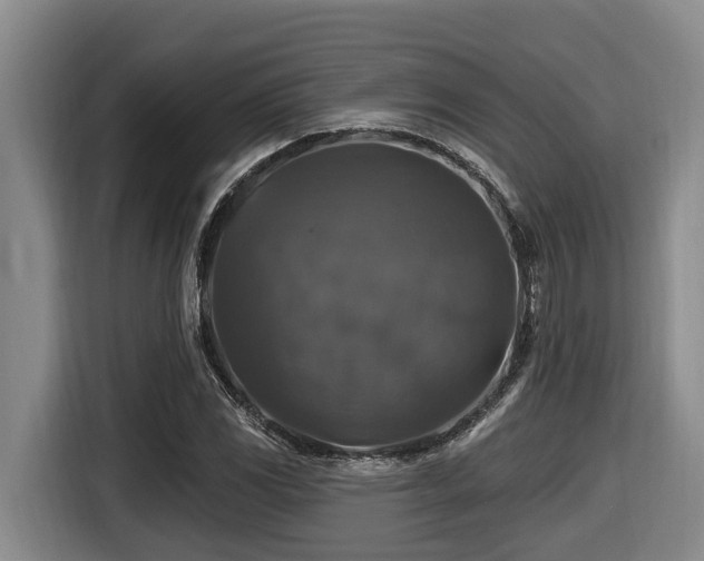 X0000116451117200912081612