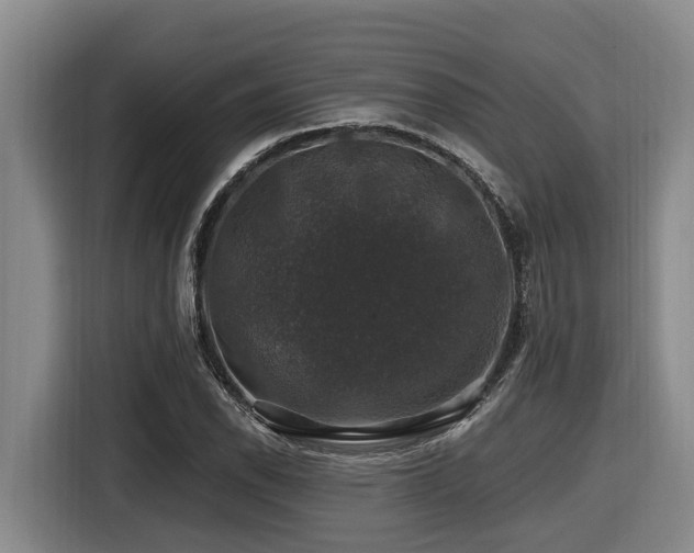 X0000116451118200912081612