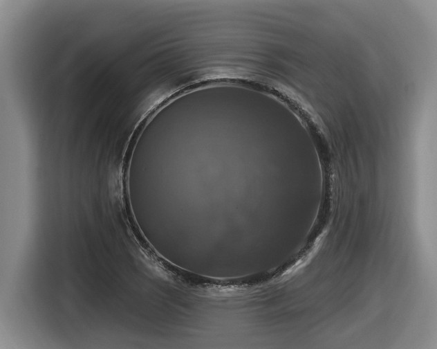 X0000116451121200912081612