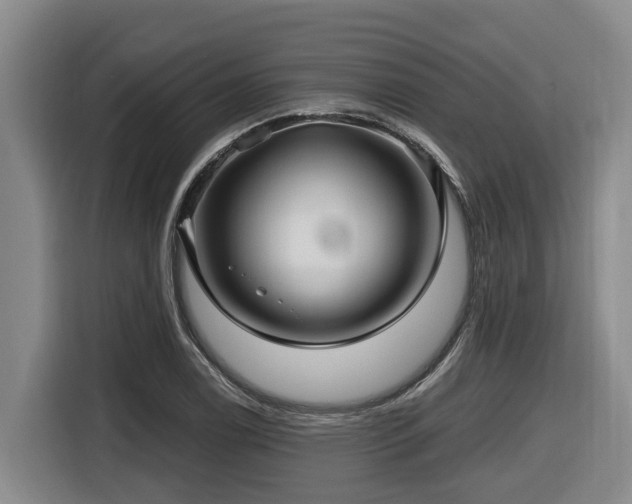 X0000116451122200912081612