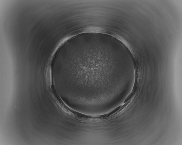 X0000116451123200912081612