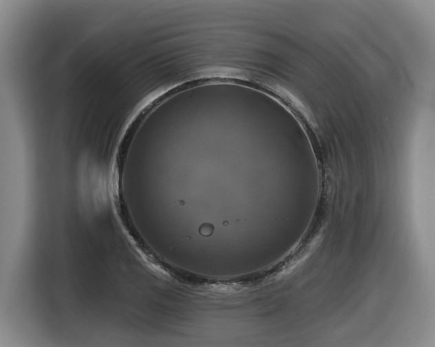 X0000116451125200912081612