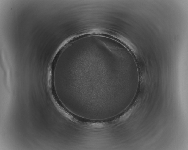 X0000116451126200912081612