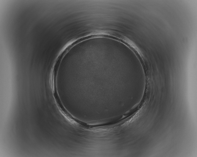 X0000116451127200912081612