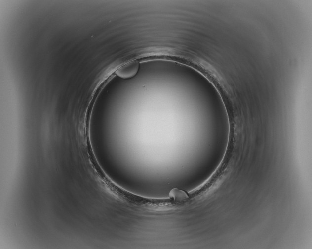 X0000116451129200912081612