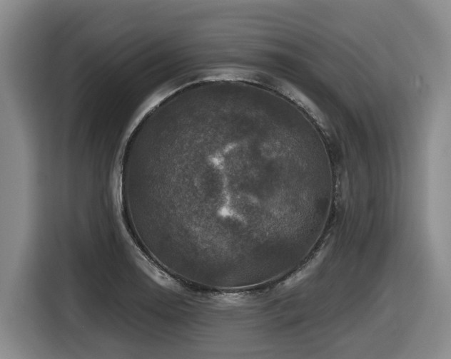 X0000116451130200912081612
