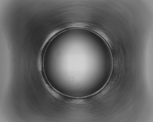 X0000116451131200912081612