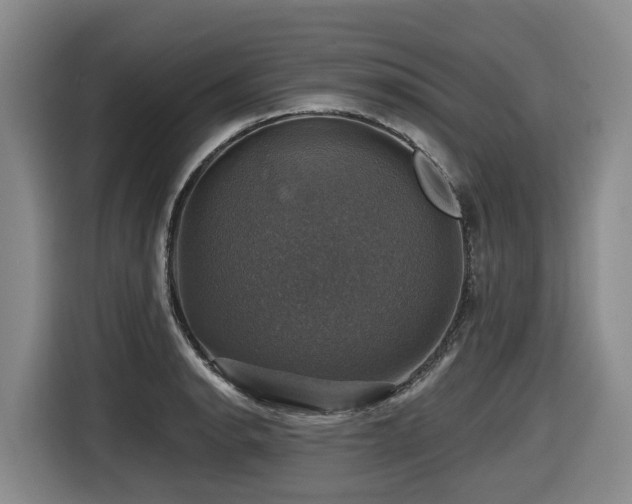 X0000116451134200912081612