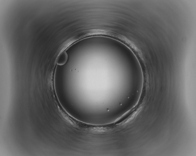 X0000116451137200912081612