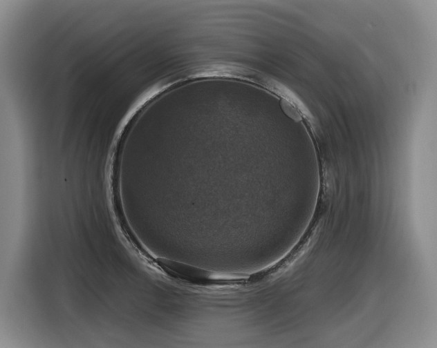 X0000116451138200912081612