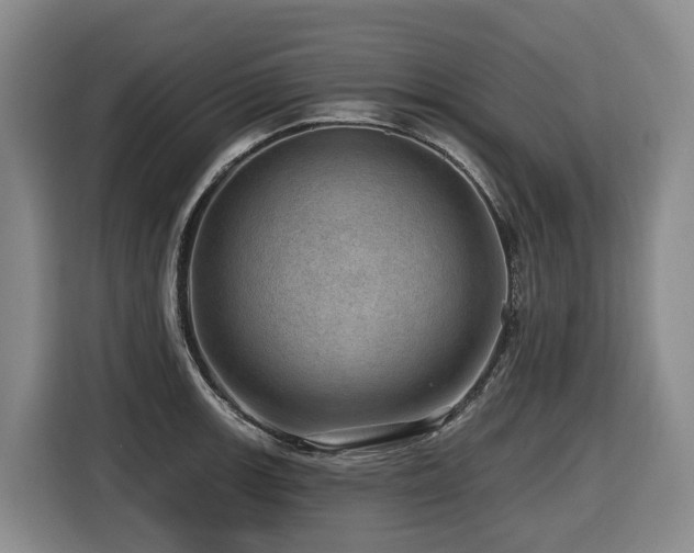 X0000116451139200912081612