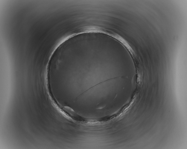 X0000116451142200912081613