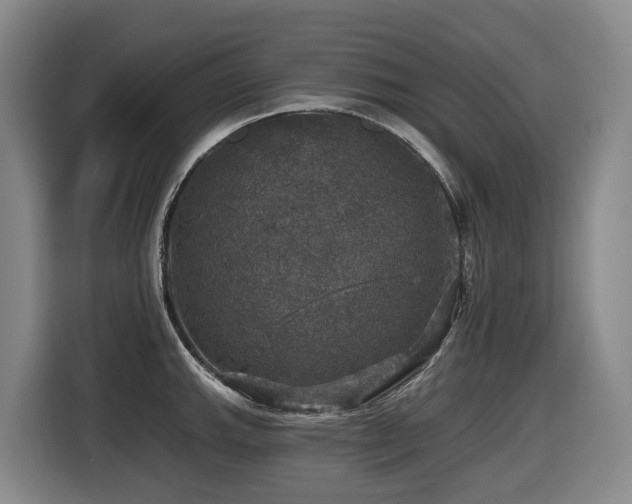 X0000116451143200912081613