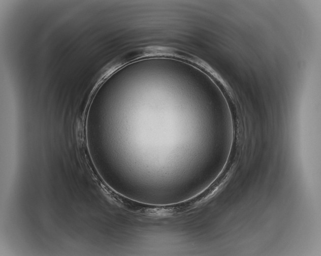 X0000116451145200912081613