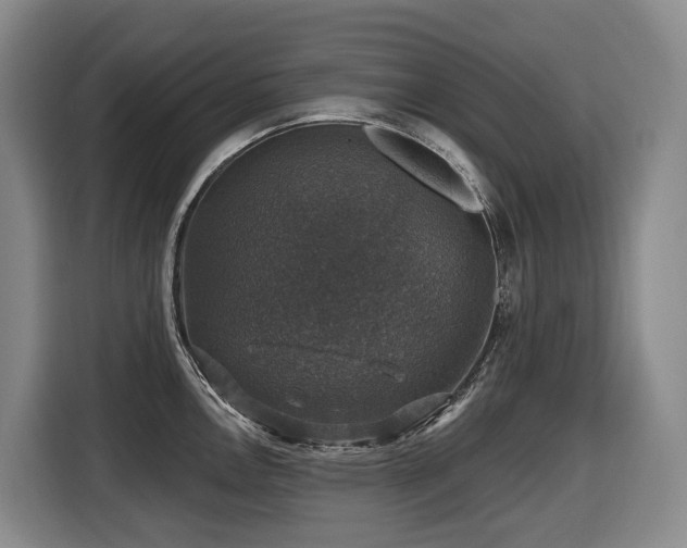 X0000116451146200912081613