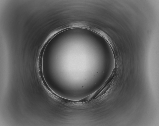 X0000116451147200912081613