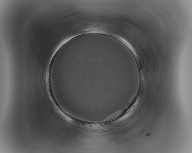 X0000116451149200912081613