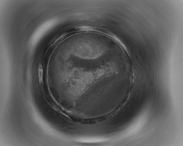 X0000116451151200912081613